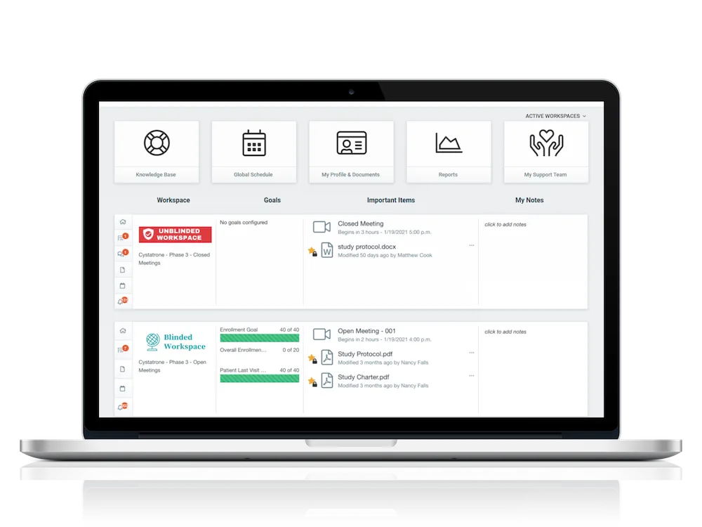 Two Cloud Concinnity workspaces side by side, one marked unblinded and one blinded, each with its own goals, meetings and documents.